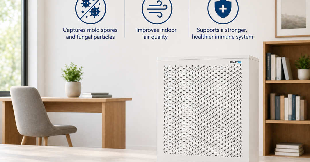 How Air Purifiers Combat Mold Spores and Fungus