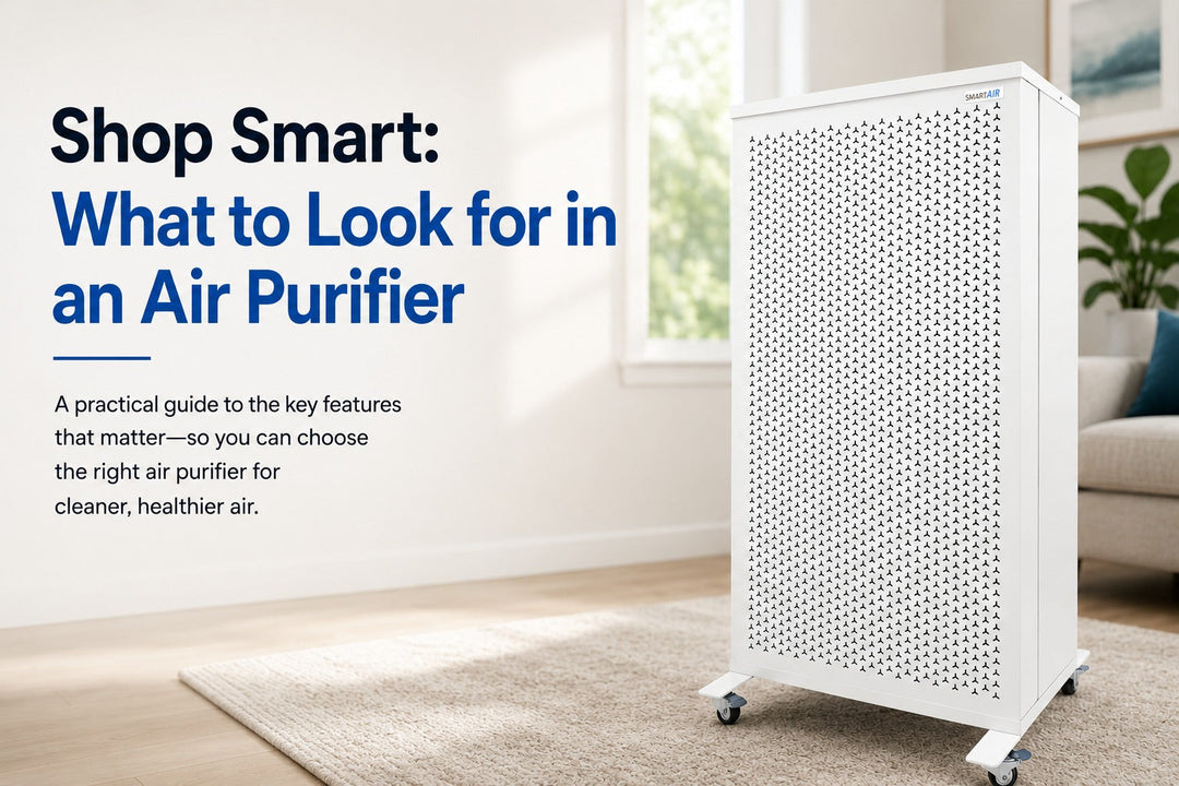 Shop Smart: What to Look for in an Air Purifier