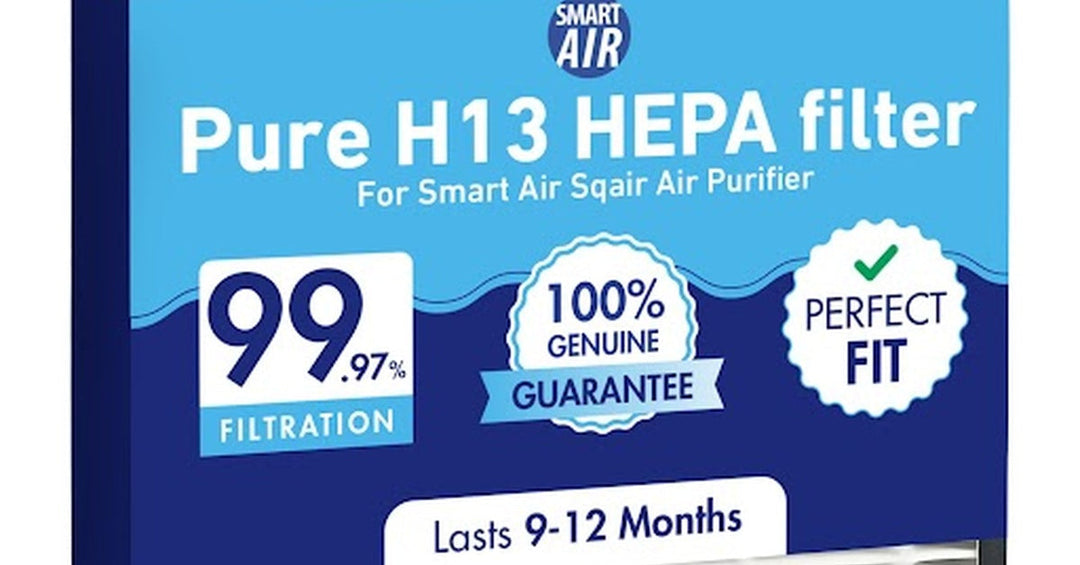 A Look at How HEPA Filters Trap Particulate