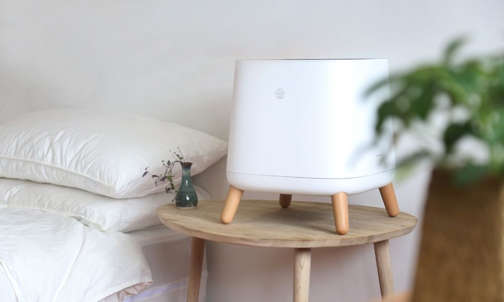 Do Air Purifiers Help Relieve Seasonal Allergies? 