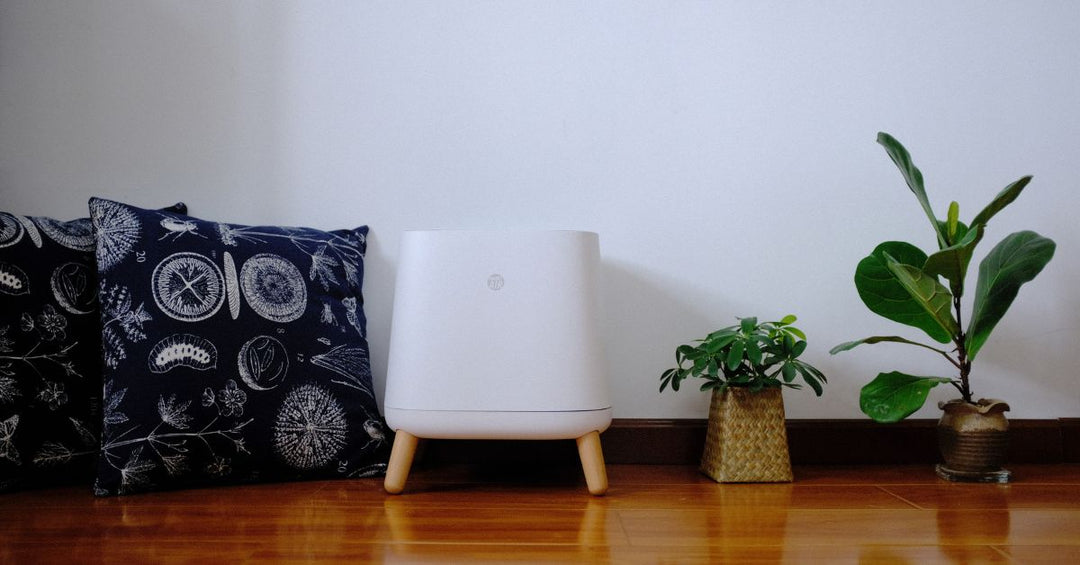 Why HEPA Portable Air Purifiers Outperform Ionizers