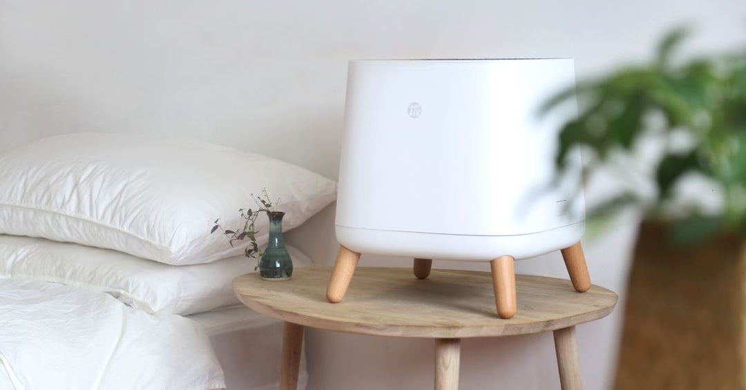 An Introduction To Reading Indoor Air Quality Testing
