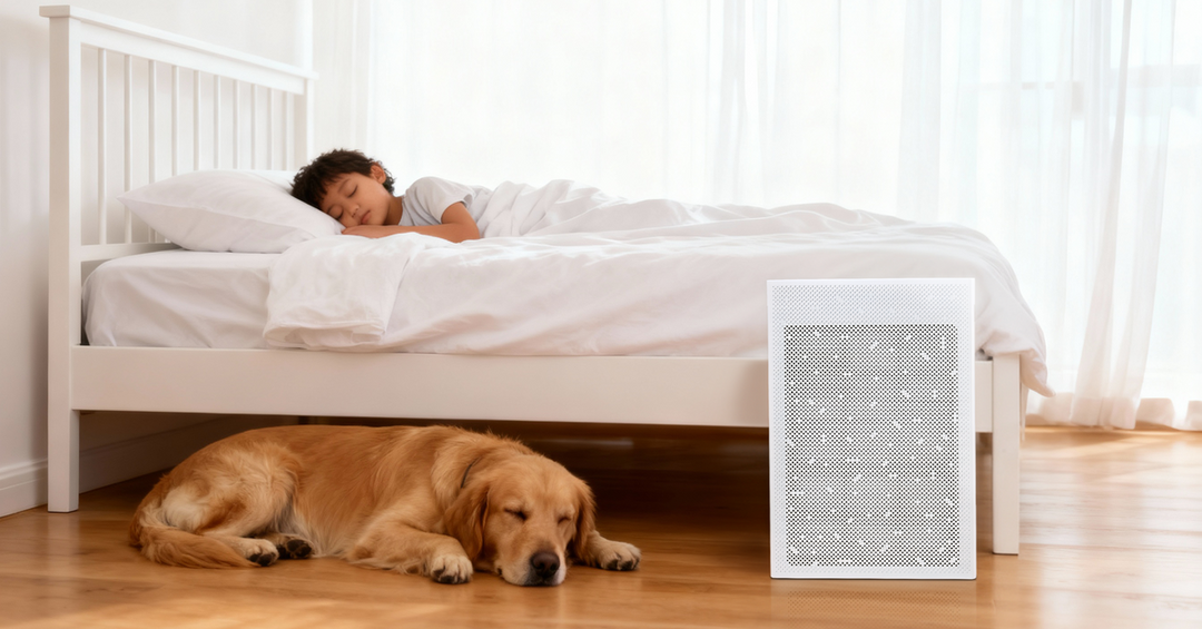 Tips for Choosing the Best HEPA Room Purifier for Your Space