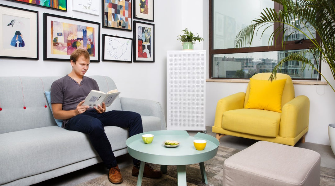 How to Choose the Right Air Purifier for You