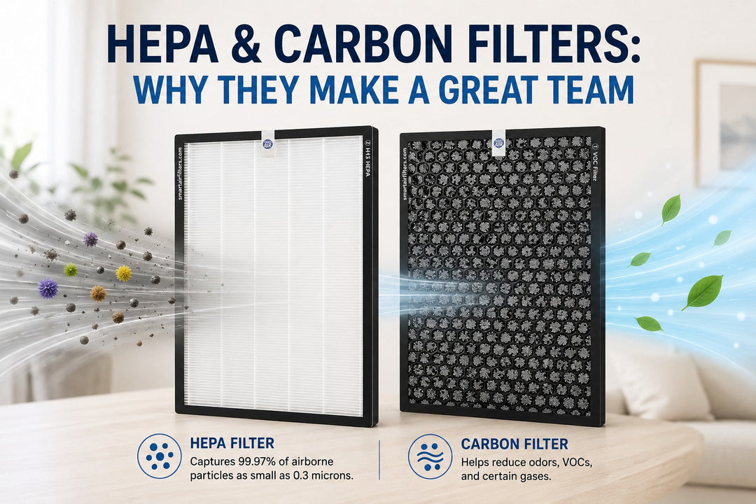 HEPA and Carbon Filters: Why They Make a Great Team