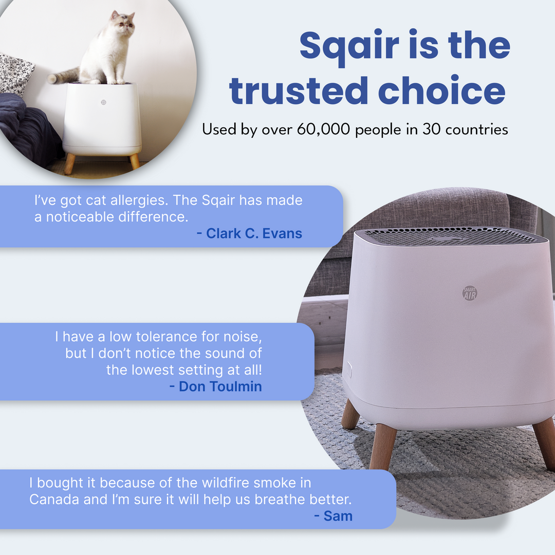 Purificador de aire Smart Air S