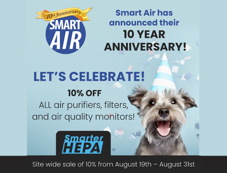 Do Air Purifiers Help Relieve Seasonal Allergies?